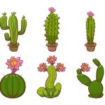 سبد خرید و پرداخت