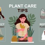 سبد خرید و پرداخت