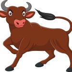 سبد خرید و پرداخت