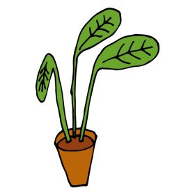 دانلود وکتور گیاه کارتونی در گلدان جدا شده بر روی پس زمینه سفید خانه