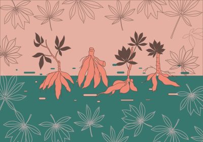 دانلود وکتور ریشه و بوته کاساوا در زمینه تزئینی با رنگ بندی عالی