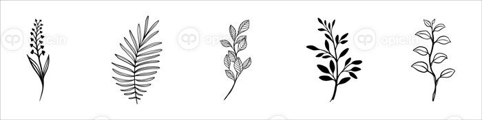 دانلود وکتور مجموعه طراحی خطوط پیوسته گیاهان طرح سیاه از