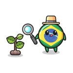 سبد خرید و پرداخت