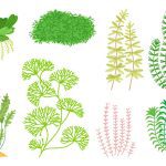دانلود وکتور مجموعه کتاب آشپزی صورتی برای مجله غذا و دستور العمل عناوین منوی رستوران یا نشان برای فروشگاه های مواد غذایی و رستوران ها طرح مینیمالیستی برای بنرهای دستور پخت