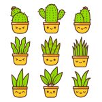 سبد خرید و پرداخت