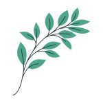 دانلود عکس و منظره کوه تقریبا پوشیده از برف