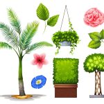 دانلود قالب کارت ویزیت اسم کارت