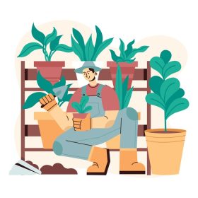 دانلود وکتور تصویر تخت مردی که رشد می کند و از گیاهان آپارتمانی مراقبت می کند