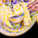 سبد خرید و پرداخت