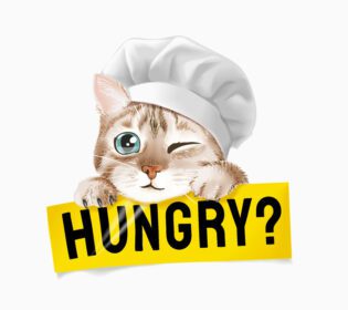 دانلود تصویر گربه ناز با کلاه سرآشپز با نگه داشتن علامت گرسنه