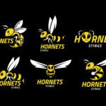 سبد خرید و پرداخت