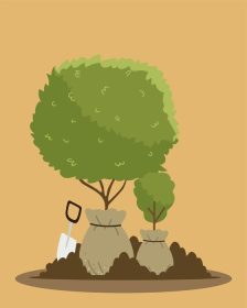 دانلود وکتور باغبانی درخت و گیاه در کیسه های کاشت با ابزار ماله