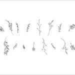 دانلود وکتور تجهیزات برندسازی کافی شاپ قالب متنی قابل ویرایش با آرم قهوه پیوست تجهیزات قهوه ساز فرآیند قهوه برندینگ کافه آماده استفاده