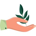 سبد خرید و پرداخت