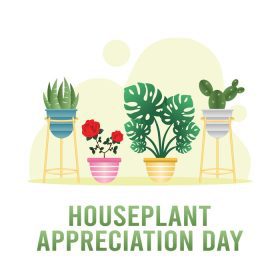 دانلود وکتور تصویر وکتور روز قدردانی از گیاه خانه