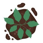 سبد خرید و پرداخت