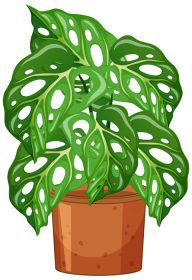 دانلود وکتور گیاه هیولا به سبک کارتونی گلدانی در تصویر زمینه سفید