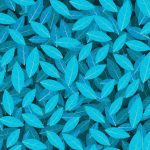 سبد خرید و پرداخت