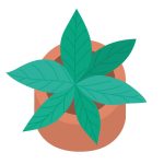 سبد خرید و پرداخت