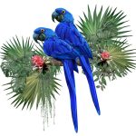 دانلود کیک شیرین پنگوئن در دست طرح شخصیت کاپ کیک شامل قالب ماکت لیوان قهوه و کارت تبریک