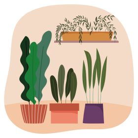 دانلود وکتور گیاهان گلدانی طراحی دکوراسیون داخلی باغبانی