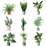 سبد خرید و پرداخت