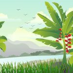 سبد خرید و پرداخت