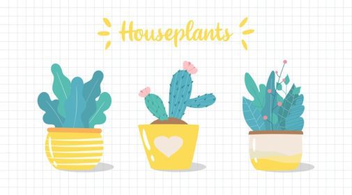 دانلود مجموعه وکتوری از گیاهان آپارتمانی با دست طراحی شده گیاهان گلدانی