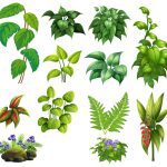 سبد خرید و پرداخت