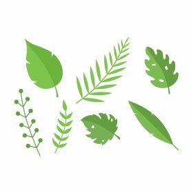 دانلود مجموعه وکتور شاخه های سبز گرمسیری صیفی جات و برگ برای
