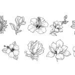 سبد خرید و پرداخت