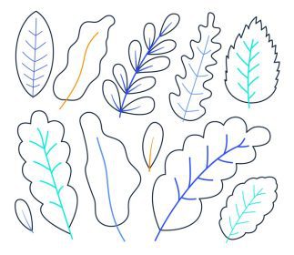 دانلود مجموعه وکتوری از برگ های گیاهی کشیده شده با دست به سبک طرح کلی تصویر استوک وکتور جدا شده در پس زمینه سفید
