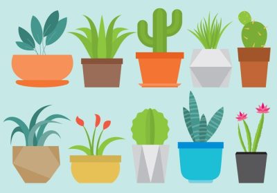 دانلود مجموعه وکتور گیاهان خانگی برای پروژه های دکوراسیون داخلی شما انتشارات گیاه شناسی یا موضوعات گیاهی در طرح های شما