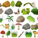 سبد خرید و پرداخت