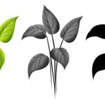 سبد خرید و پرداخت