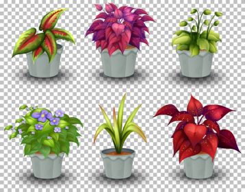 دانلود مجموعه وکتور گیاهان در گلدان در تصویر زمینه طرح شطرنجی