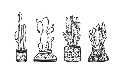 دانلود مجموعه وکتور گیاه گلدانی که با دست طراحی شده است