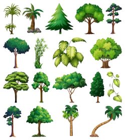دانلود مجموعه وکتور تصویر انواع گیاهان و درختان