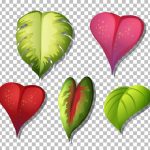 سبد خرید و پرداخت