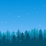 سبد خرید و پرداخت
