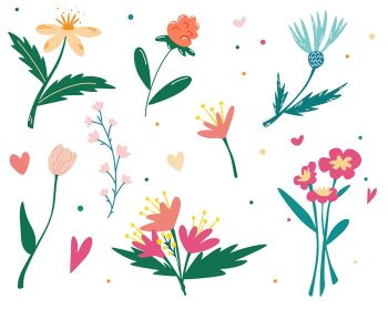 دانلود مجموعه وکتور مجموعه گیاه شناسی گل های وحشی گل های وحشی گیاهان برگ باغ و گل های وحشی گل های بهاری زیبا برای گل فروشی کارت پستال کارت پستال تبریک وکتور