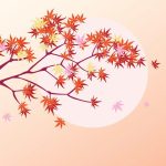 سبد خرید و پرداخت