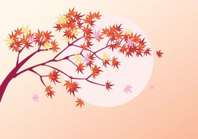 دانلود وکتور صاف گیاه افرا ژاپنی و پس زمینه برگ های افرا پاییزی عالی برای کاغذ دیواری و کارت تبریک پوستر تقویم