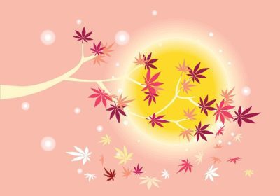 دانلود وکتور صاف گیاه افرا ژاپنی و پس زمینه برگ های افرا پاییزی عالی برای کاغذ دیواری و کارت تبریک پوستر تقویم