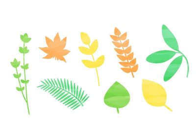 دانلود وکتور این منبع گرافیکی شامل هشت عنصر طبیعی آبرنگ مانند گل و گیاهان است که برای استفاده در وب و چاپ مناسب است امیدوارم از آن لذت ببرید