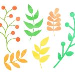 سبد خرید و پرداخت