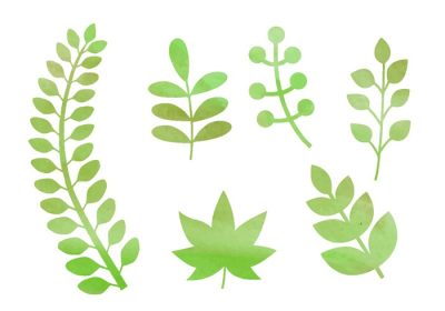 دانلود وکتور این منبع گرافیکی شامل شش عنصر طبیعی آبرنگ مانند گل و گیاهان است که برای استفاده در وب و چاپ مناسب است امیدوارم از آن لذت ببرید