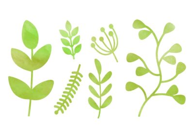 دانلود وکتور این منبع گرافیکی شامل شش عنصر طبیعی آبرنگ مانند گل و گیاهان است که برای استفاده در وب و چاپ مناسب است امیدوارم از آن لذت ببرید