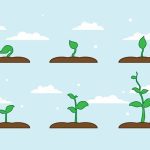 دانلود عکس نمای پایین از چمن سبز در برابر طبیعت آسمان آبی