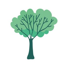 دانلود وکتور گیاه درخت اکولوژی طبیعت نماد